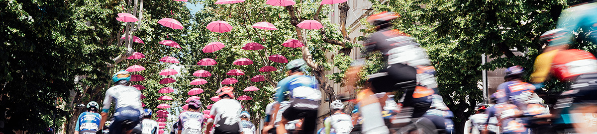 ジロがやってきた