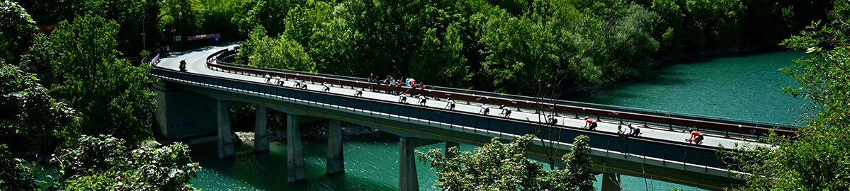 コースを走る選手たち