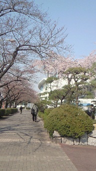 201104021326000todoroki.jpg