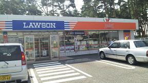 orange lawson.JPG