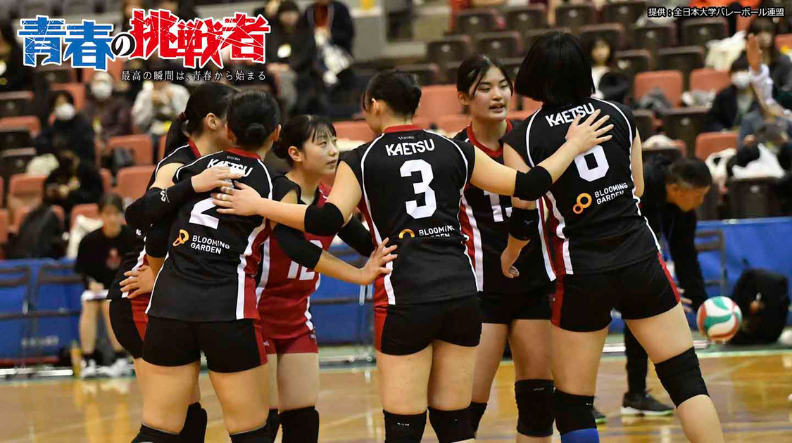 早稲田大学バレーボールTシャツ 早稲田スポーツオフィシャル