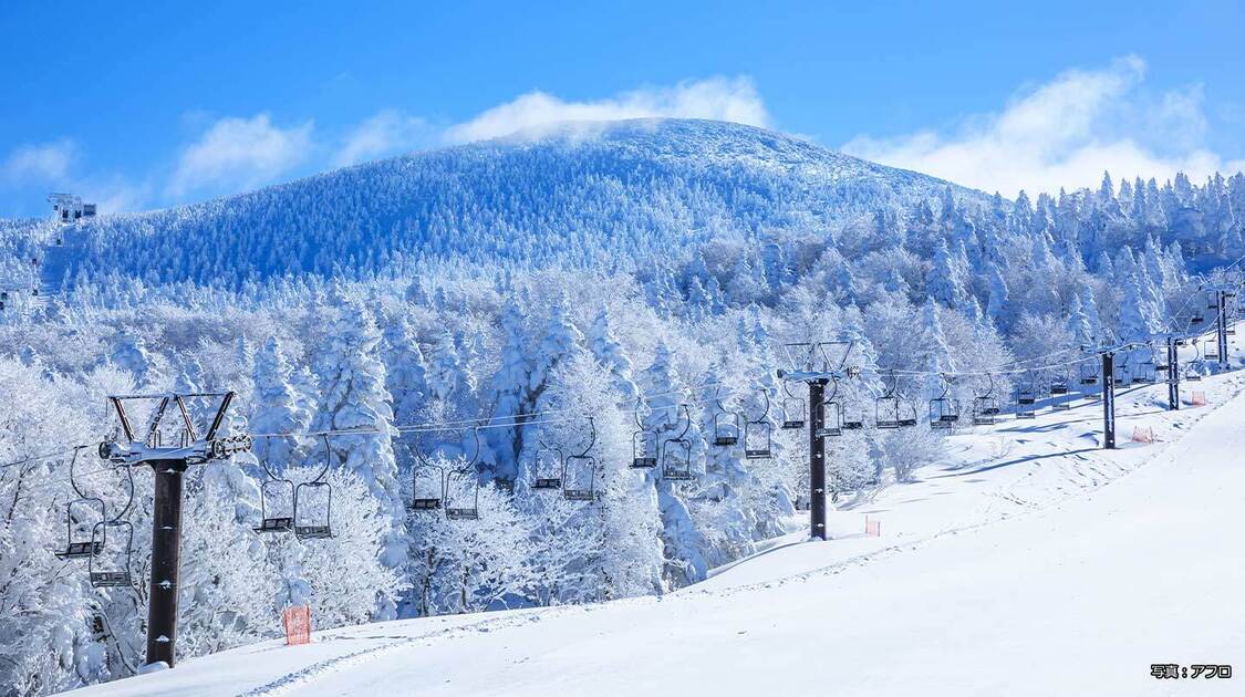 第10回 全日本ジュニアスキー