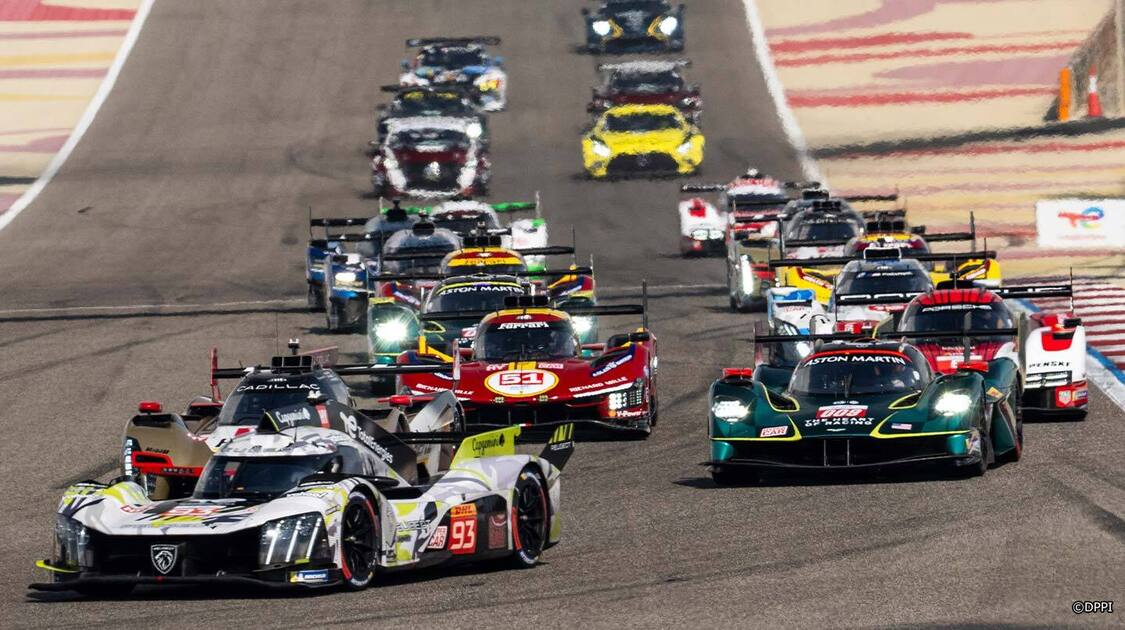 FIA 世界耐久選手権(WEC)