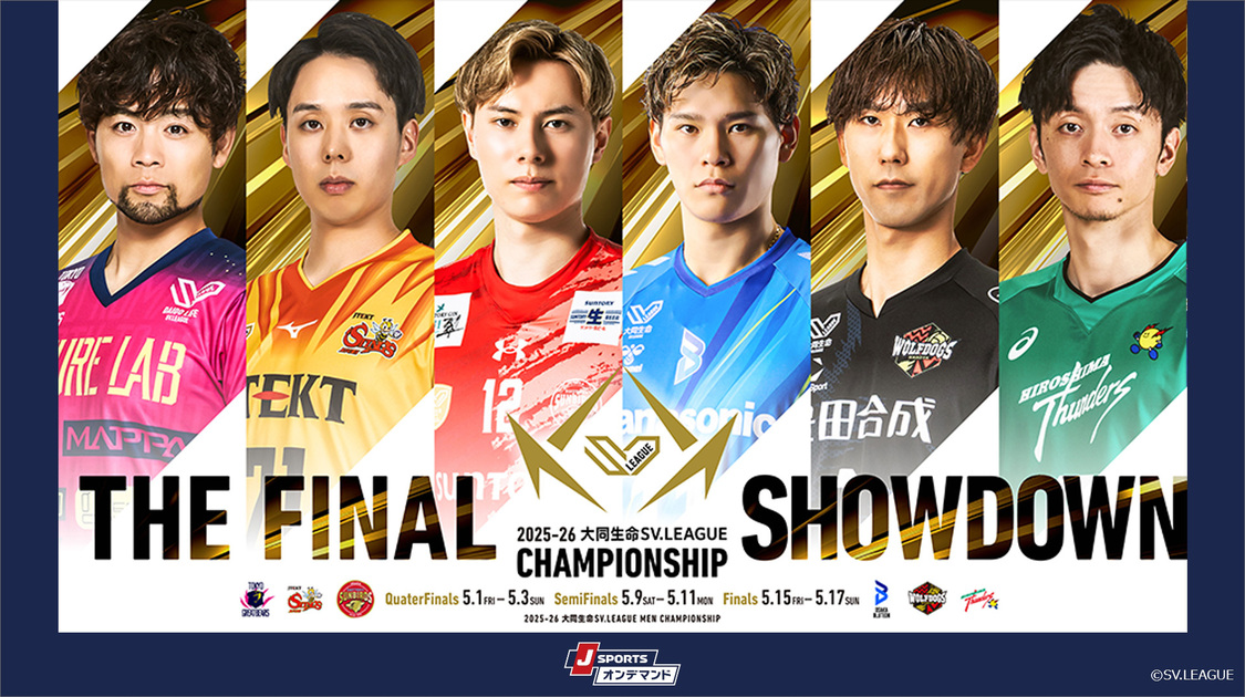 バレーボール 大同生命SVリーグ 男子