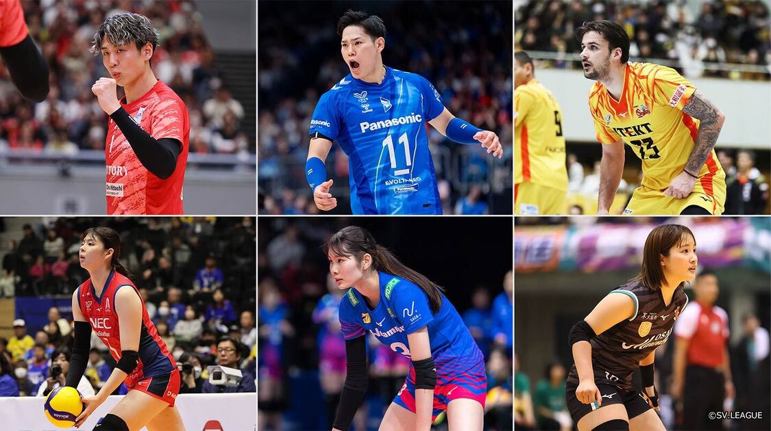 バレーボール 大同生命SVリーグ 