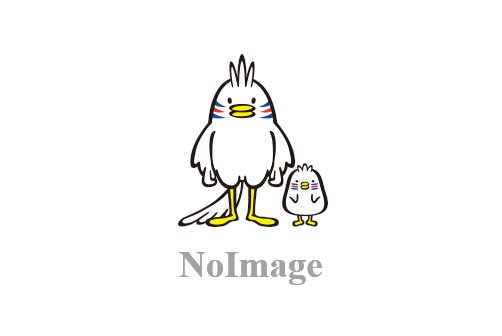 金メダルを期待されたクラフト