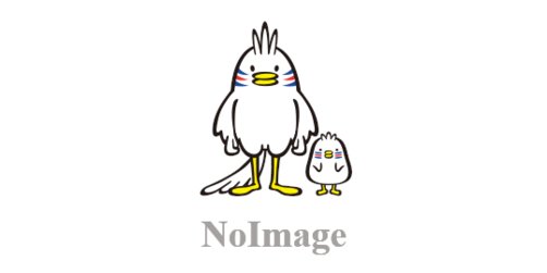 団体銅メダルに輝いた日本チーム