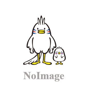 少しだけ重圧があった小林陵侑