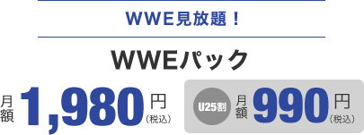 Wwe スマックダウン ハイライト 1116 視聴画面 J Sportsオンデマンド 公式