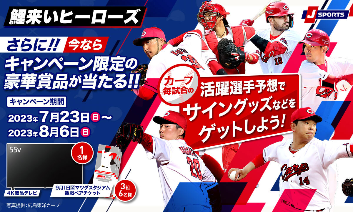 送料0円】 カープ好きさま専用ページです ダンス/バレエ