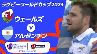 【ハイライト】ウェールズ vsアルゼンチン