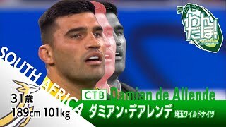 ダミアン・デアレンデ リーグワンで活躍する海外代表選手