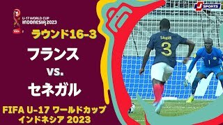 【ハイライト】 フランス vs. セネガル