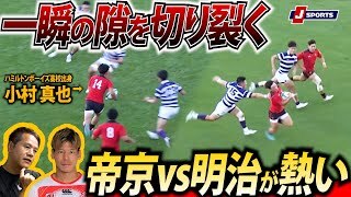 ラグビーを更に楽しむための徹底解説