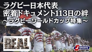 【ダイジェスト】ラグビー日本代表密着ドキュメント113日の絆