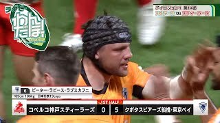 【深掘り】クボタスピアーズ船橋・東京ベイ vs. コベルコ神戸スティーラーズ