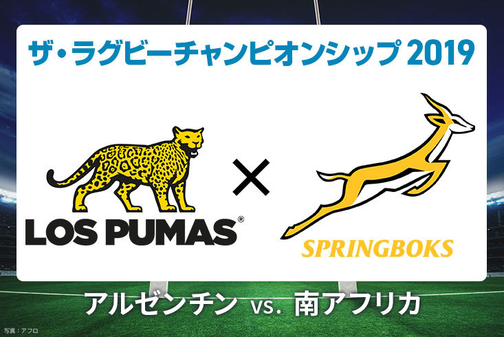 ラグビーワールドカップ2019記念ボール 南アフリカ代表