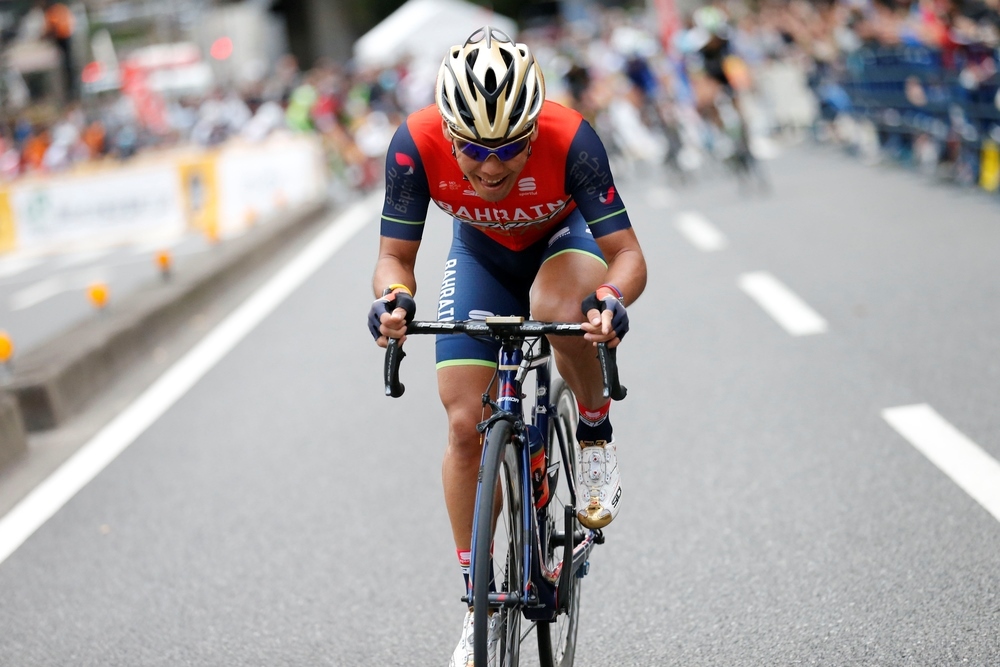新城幸也