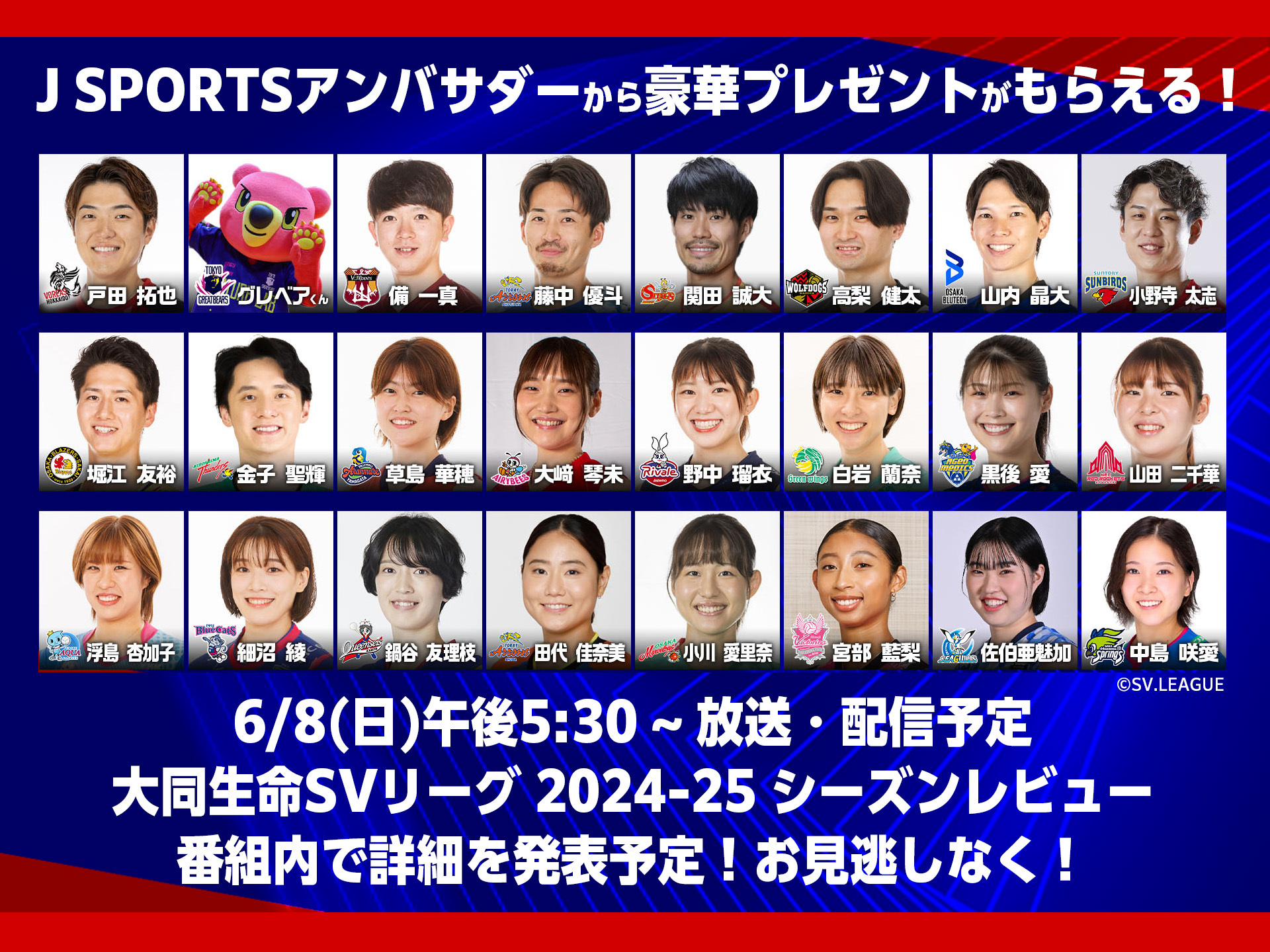 J SPORTSバレーボールアンバサダー
