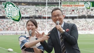 国立競技場で「わんだほー！」