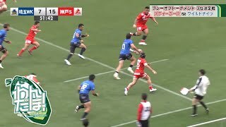 【見どころ振り返り】コベルコ神戸スティーラーズ vs. 埼玉ワイルドナイツ（ D1 プレーオフトーナメント 3位決定戦）