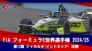 【決勝 ハイライト】FIA フォーミュラE世界選手権 2024/25 第12戦 ジャカルタ(インドネシア)