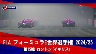 【決勝 ハイライト】FIA フォーミュラE世界選手権 2024/25