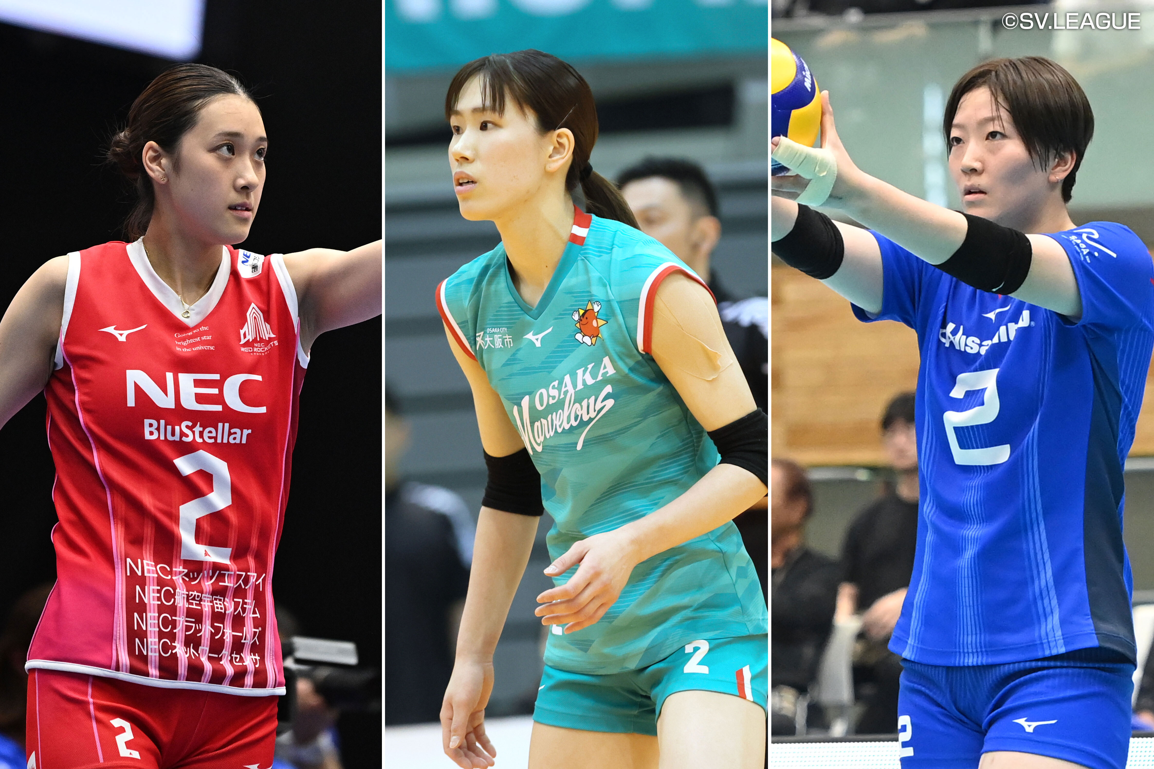 大同生命SVリーグ 2025-26