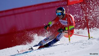 アルペンスキー FIS ワールドカップ