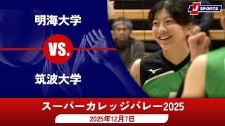【女子 3位決定戦 ハイライト】明海大学 vs. 筑波大学 スーパーカレッジバレー2025
