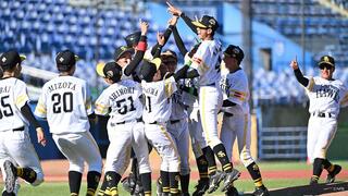 【未開封】「ランディ・ジョンソン #51 モントリオール・エクスポズ」マクファー 未開封】「ランディ・ジョンソン #51 モントリオール・エクスポズ