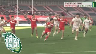 【深掘り】コベルコ神戸スティーラーズ vs. トヨタヴェルブリッツ