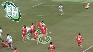 【深掘り】コベルコ神戸スティーラーズ vs. 静岡ブルーレヴズ