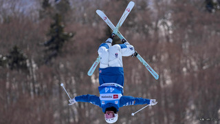 フリースタイルスキー