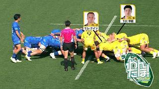 【深掘り】 東京サンゴリアス vs. 埼玉ワイルドナイツ