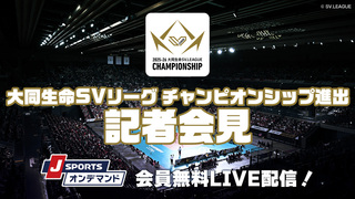 バレーボール 大同生命SVリーグ 女子