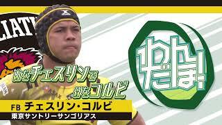 【スーパープレイ集】チェスリン コルビ（東京サンゴリアス）