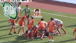 【深掘り】  コベルコ神戸スティーラーズ vs. 東京サンゴリアス