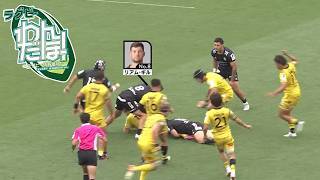【深掘り】プレーオフトーナメント 準々決勝 東京サンゴリアス vs. ブラックラムズ東京