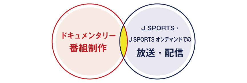 実施内容