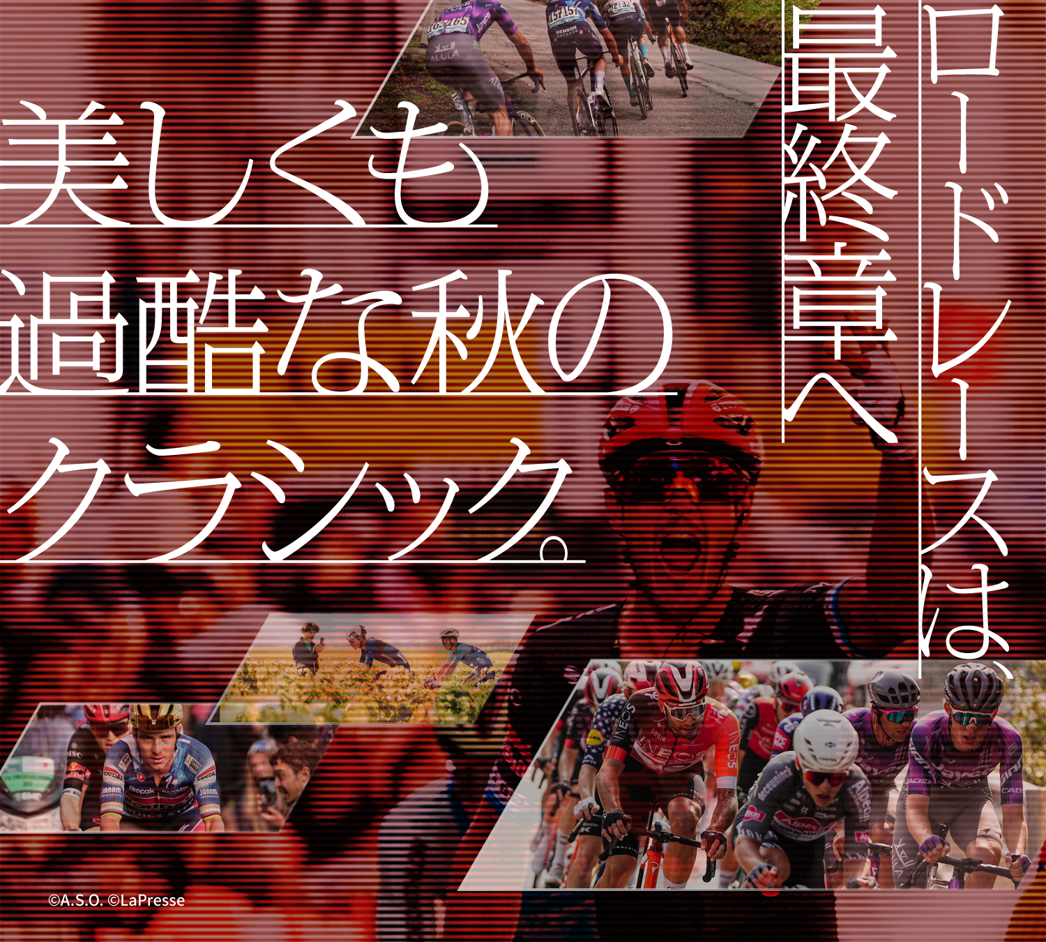 ロードレースは、最終章へ | 美しくも過酷な秋のクラシック。