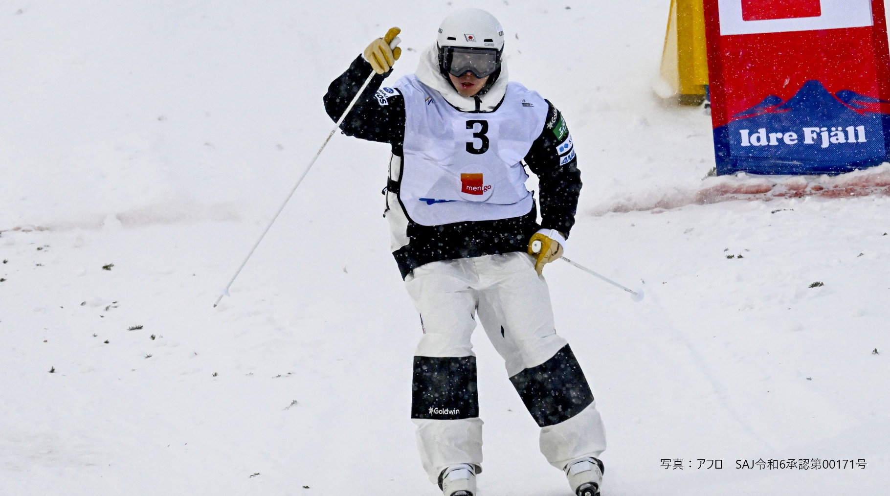 フリースタイルスキー FIS ワールドカップ 2023/24