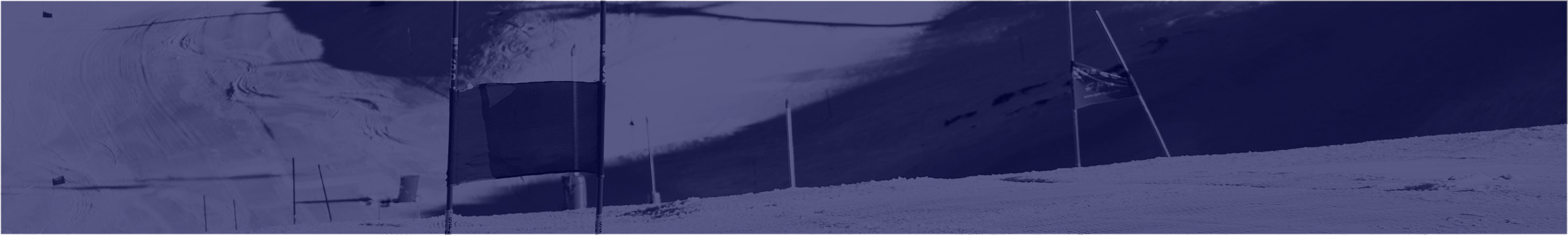 W杯 モーグル ロングTシャツ サイズL モーグル ワールド