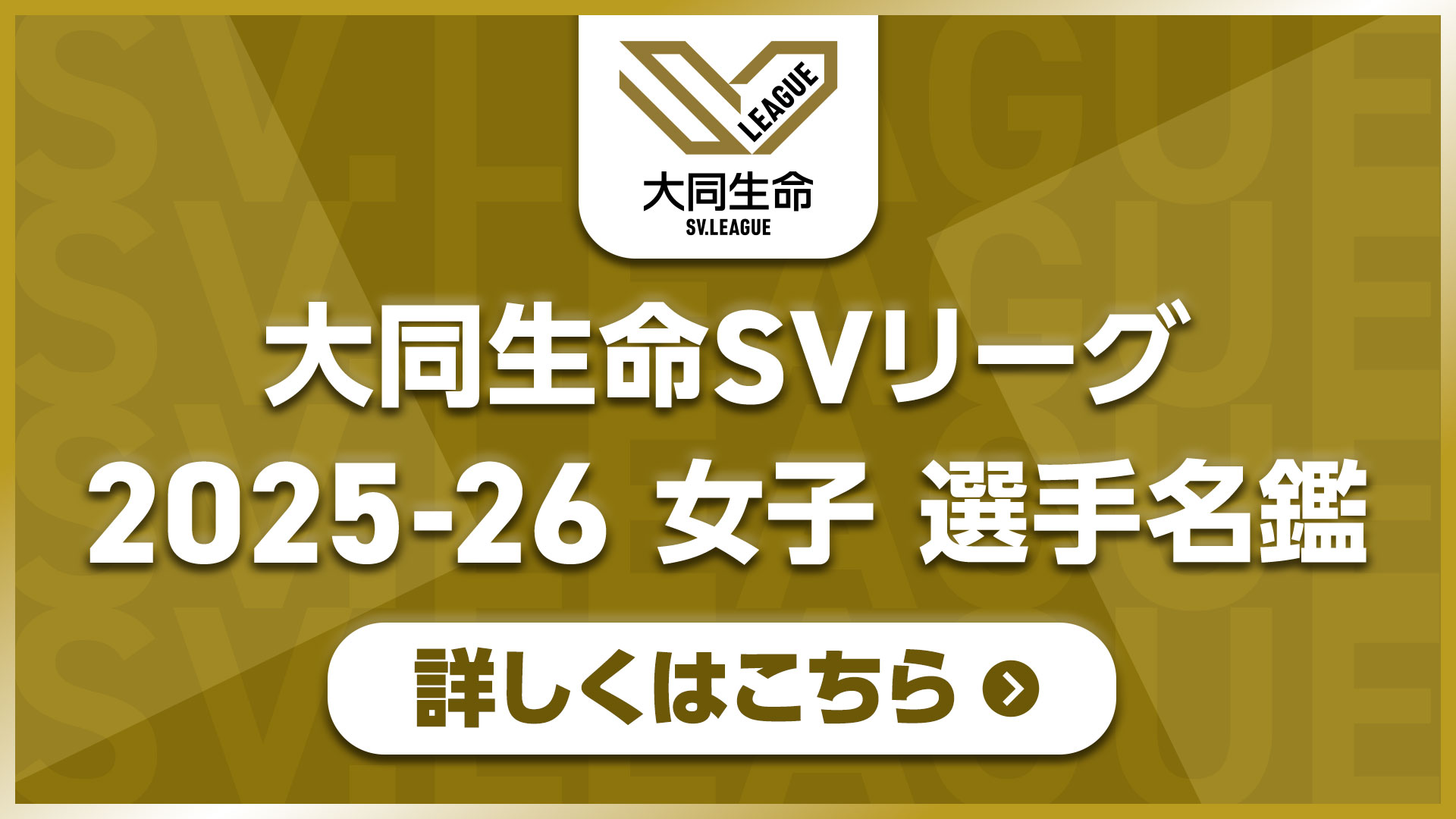 SVリーグ選手名鑑_女子
