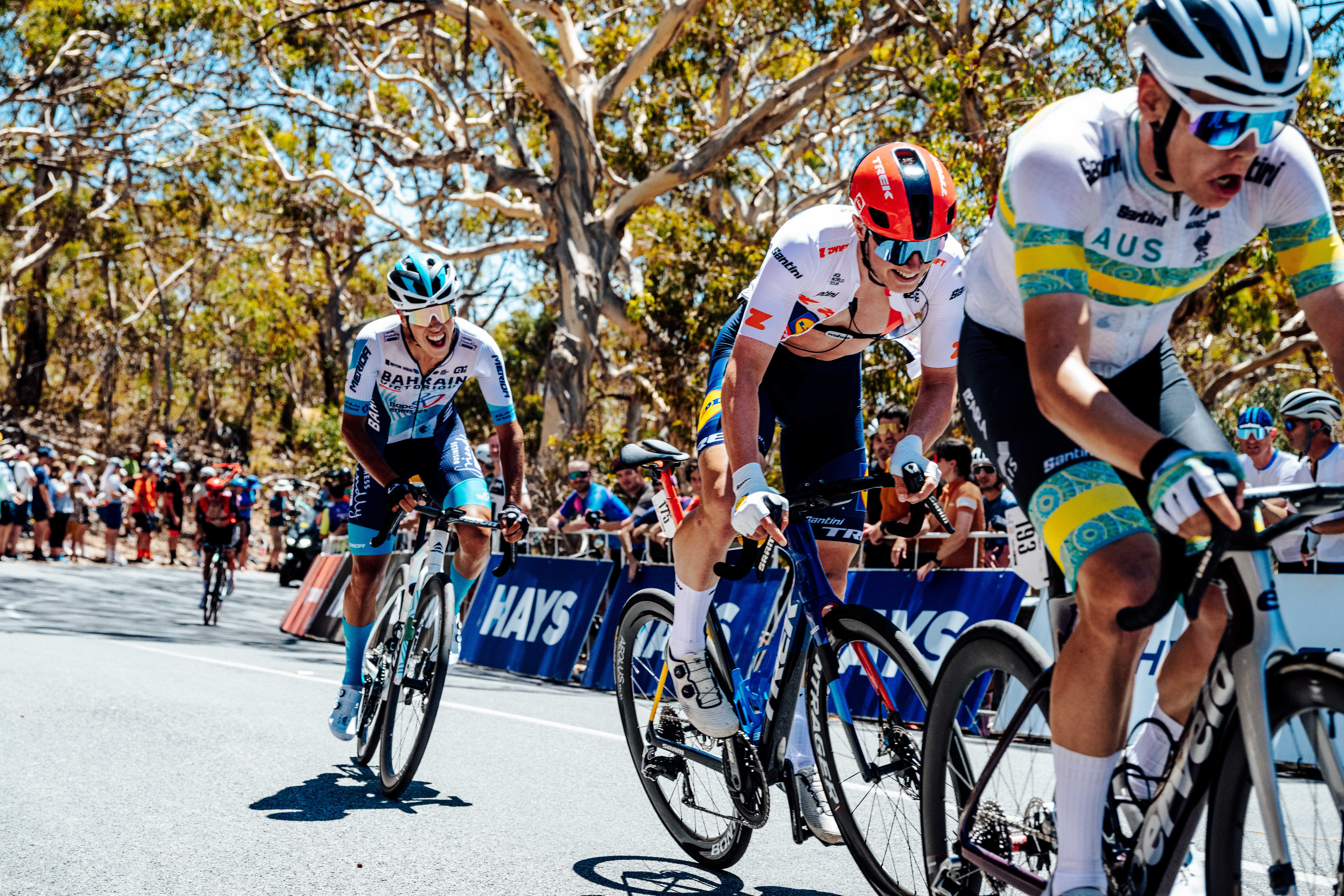 Cycle*2026　ツアー・ダウンアンダー