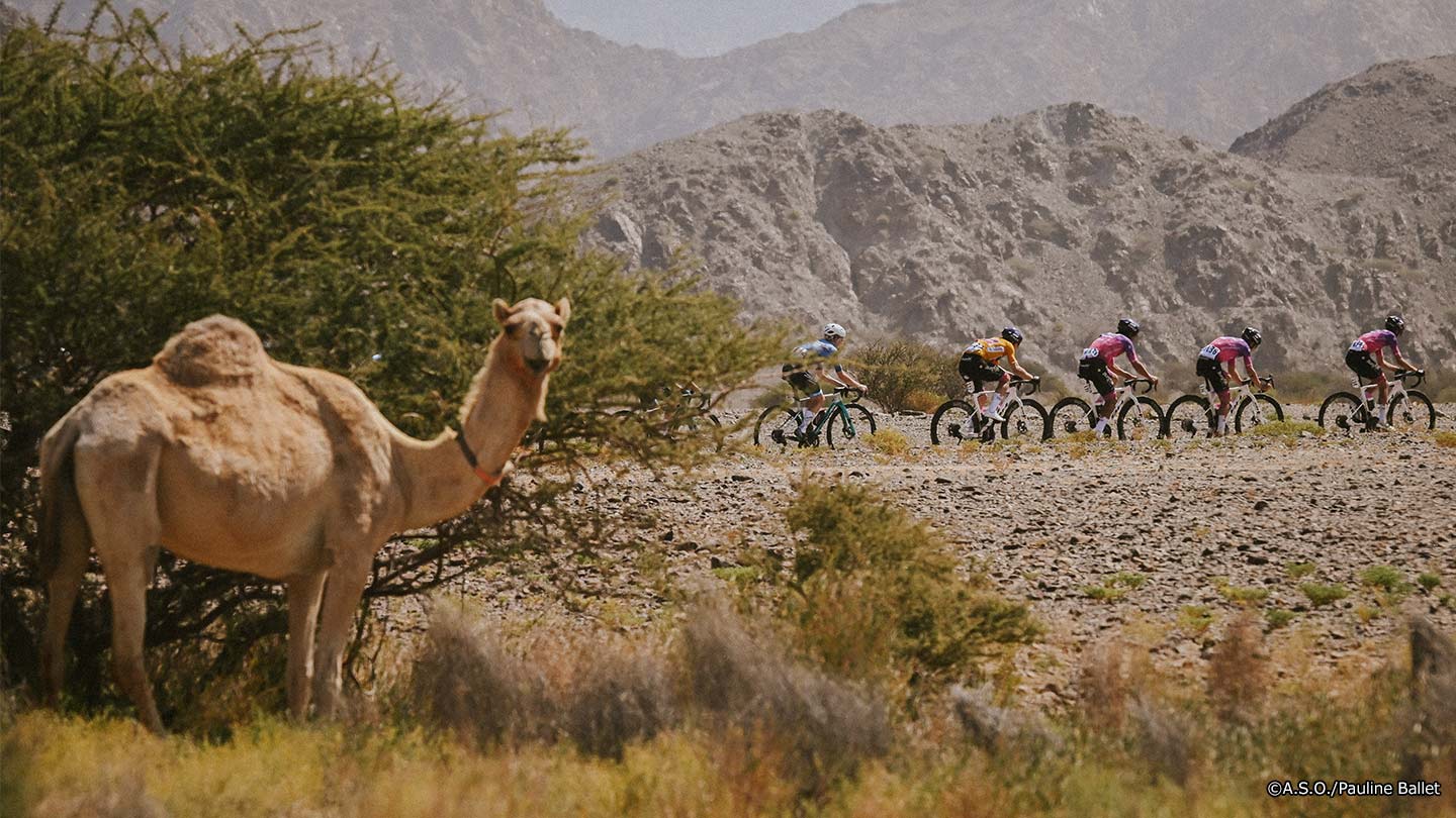 Cycle*2026　ツアー・オブ・オマーン